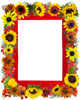 photo frames at zazzle
